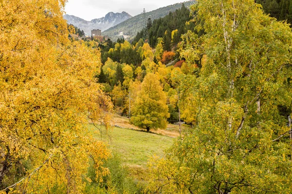 Paisagem Outono Montanha Com Floresta Colorida Andorra — Fotografia de Stock