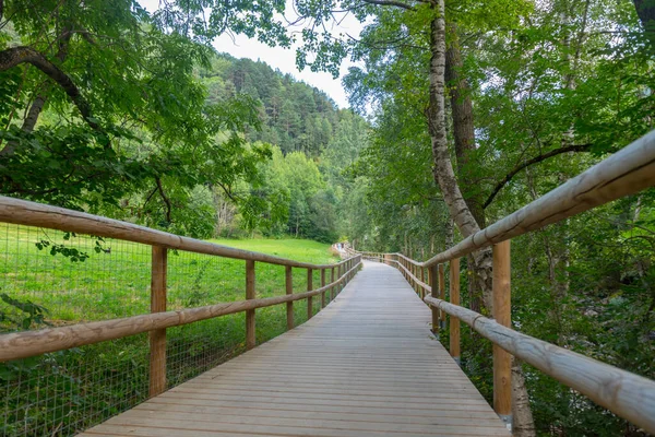 Yazın Andorra 'da Cami Ral' deki Valira del Orient nehri arasında köprü..