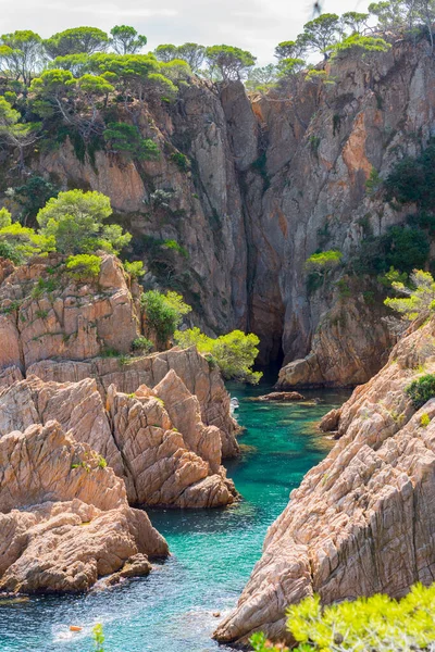 Cala Peix, Akdeniz, İspanya Katalonya 'daki Costa Brava' da Sant Feliu de Guixols köyünde..