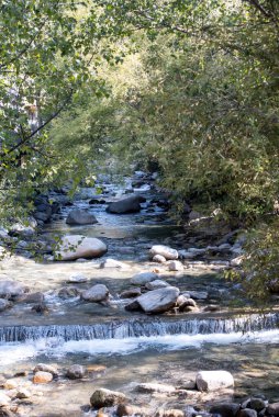  2020 yazında Andorra 'daki Kamp' ta güneşli bir gün..