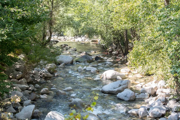  2020 yazında Andorra 'daki Kamp' ta güneşli bir gün..