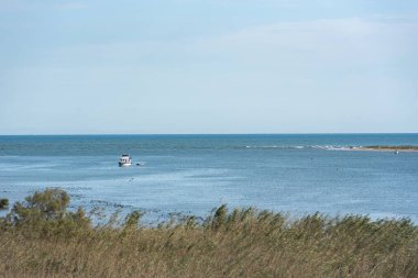 Ebro Delta, İspanya: 2020 Eylül: Yaz aylarında Ebro Nehri 'nde tekne turu.