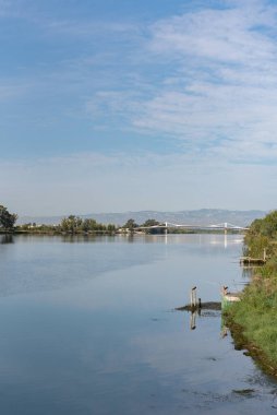 Sant Jaume d Enveja yeni köprü Lo Passador Ebro nehri üzerinde Ebro Delta, Tarragona, Katalonya, İspanya.