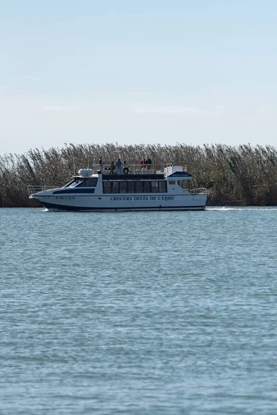 Delta Del Ebro España 2020 Septiembre Paseo Barco Por Río — Foto de Stock