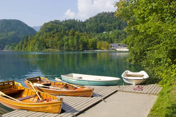 Hermosa Escena Lago Bled Eslovenia —  Fotos de Stock