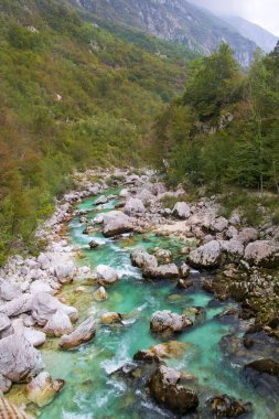 Slovenya'da Soca vadisi