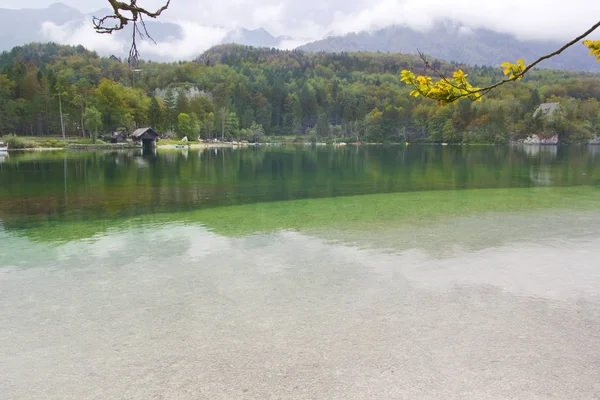 Красива Сцена Озері Бохінь Словенія — стокове фото