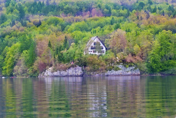 Красивая Сцена Озере Бохинь Словения — стоковое фото