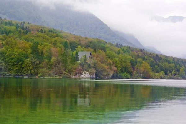 Belle Scène Dans Lac Bohinj Slovénie — Photo