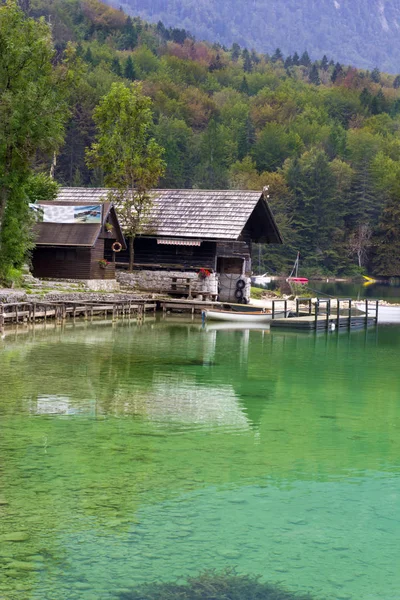 Hermosa Escena Lago Bohinj Eslovenia — Foto de Stock