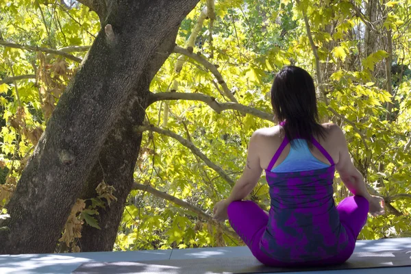 Porträt Einer Jungen Frau Beim Yoga — Stockfoto