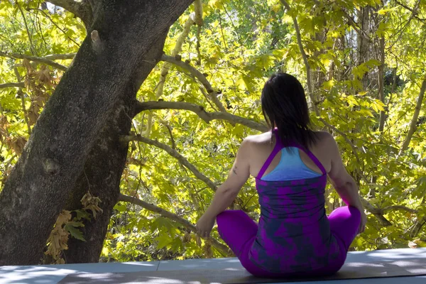 Porträt Einer Jungen Frau Beim Yoga — Stockfoto