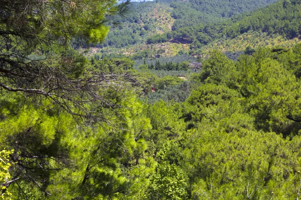 Green Nature Views Turkey — Stock Photo, Image