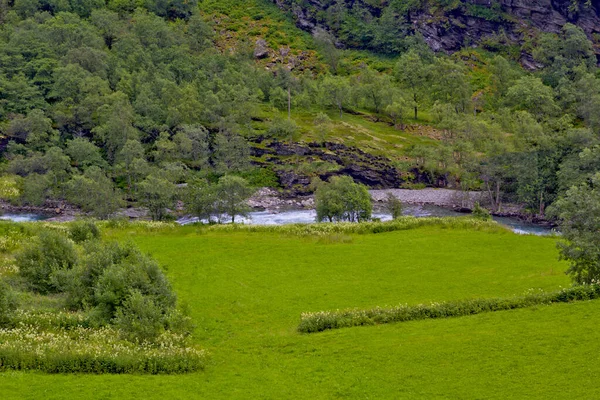 ノルウェーの滝と美しい自然シーン — ストック写真