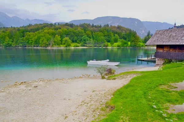Прекрасна Сцена Озері Бохінж Словенія — стокове фото