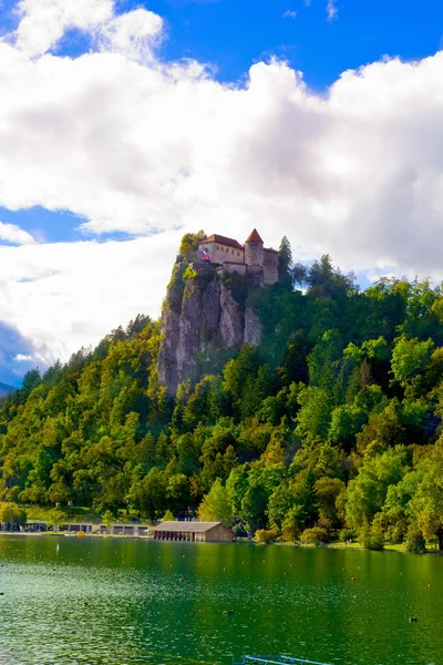 Vacker Scen Castle Bled Slovenien — Stockfoto