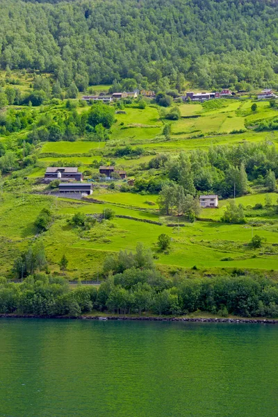 挪威美丽的绿景和房屋 — 图库照片