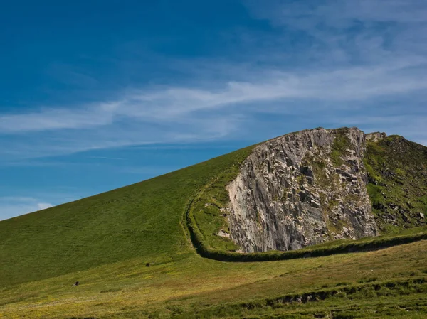 Grön Äng Med Ett Staket Precis Innan Branten Bergvägg Irlands — Stockfoto