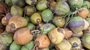 Dağ gibi Malezya bir pazar meydanında farklı renklerde taze hindistancevizi