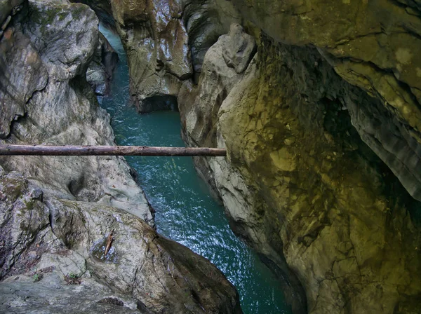 Від Води Між Камінням Затиснутий Стовбур Дерева Ущелині — стокове фото