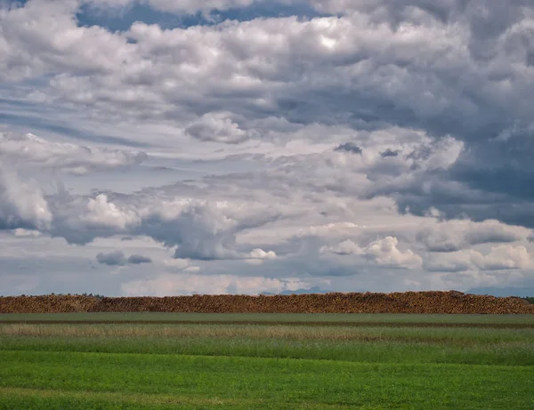 牧草地には印象的な Cloudscape の背後にある森林のログを保存 — ストック写真