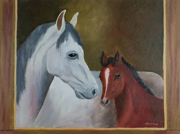 Oilpainting Cavalo Branco Potro Marrom Com Uma Moldura Marrom — Fotografia de Stock