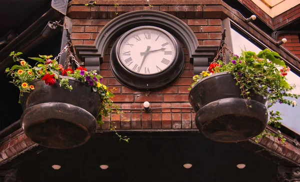 植木鉢とベルファストの赤レンガの入口上の大時計 — ストック写真