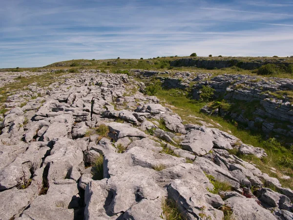 Konstiga Klippiga Landskap Med Sprickor Och Spåren Poulnabrone Irland — Stockfoto