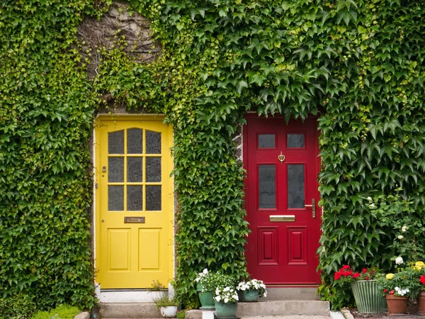 アイビーと黄色と赤に塗られた つのドアとアイルランドの家の正面 — ストック写真
