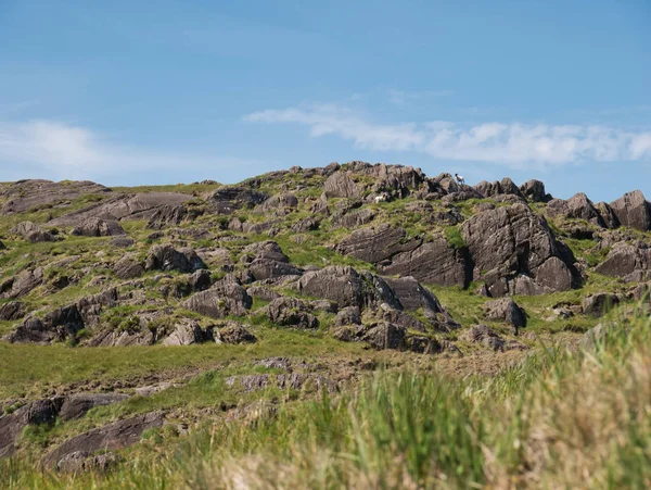 Två Får Det Steniga Landskapet Healy Pass Irland Solsken — Stockfoto