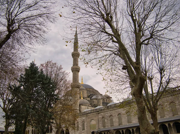 Minarete Mezquita Azul Estambul Con Varios Árboles Primer Plano — Foto de Stock