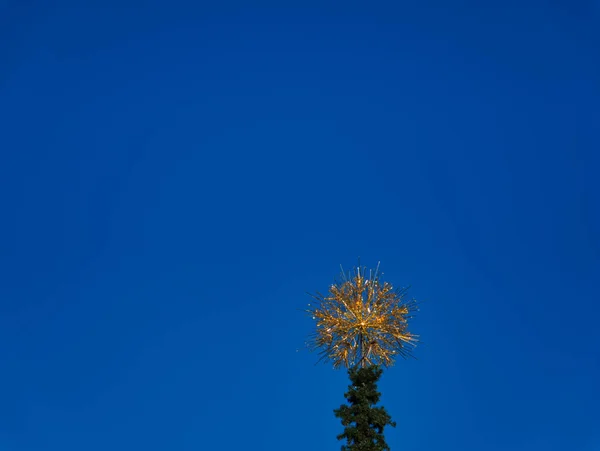 Blauwe Lucht Met Een Gouden Punt Kristalvorm Een Boom — Stockfoto