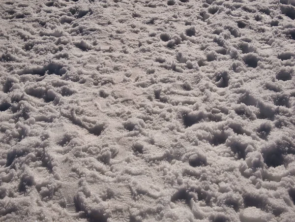 Several footprints in fresh snow — Stock Photo, Image