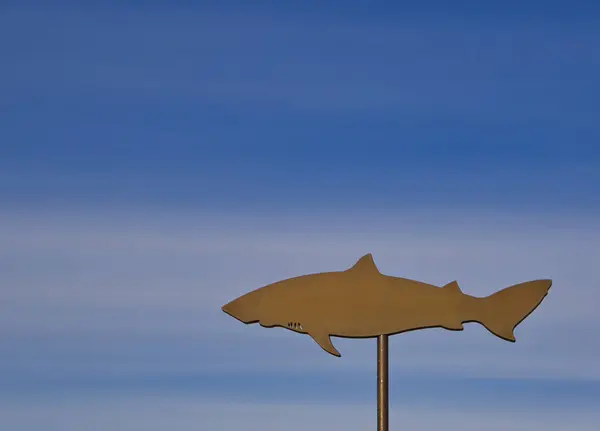 An iron shield of a shark on a pole. — Stock Photo, Image