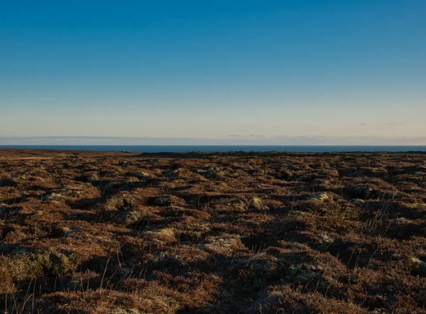 The barren coastal landscape of Sudurness in Iceland