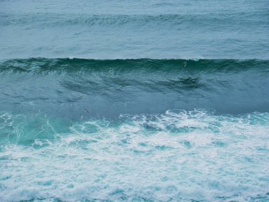 Kaliforniya kıyılarında yüksek dalgalı bir sörfçü