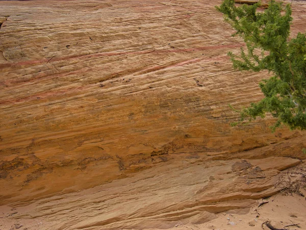 Yellowish Rock Face Several Grooves Natural Red Lines — Stock Photo, Image