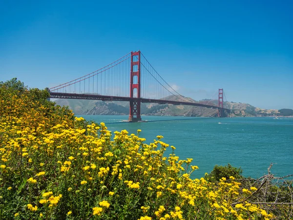 Golden Gate Bridge San Francisco Met Gele Bloemen Voorgrond — Stockfoto