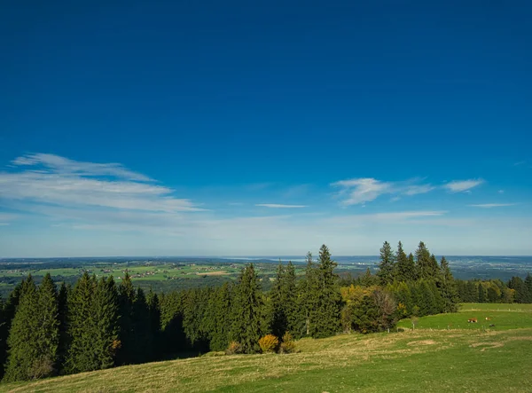 The Bavarian Lake District with its green meadows and forests