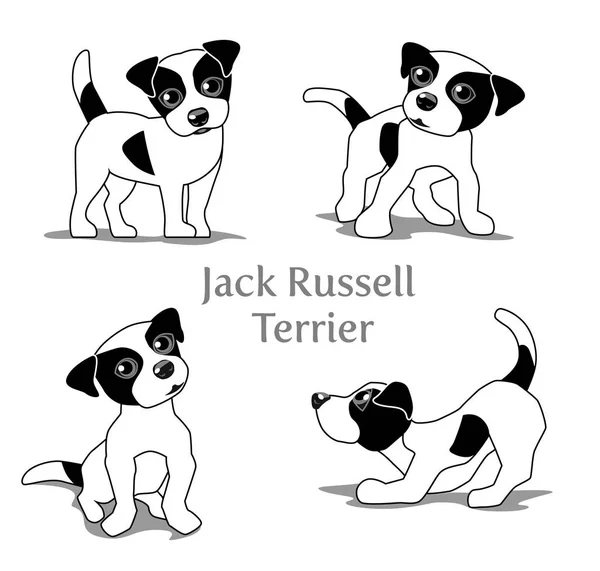 Parson Russell Terrier Vector Images Parson Russell Terrier Illustrations Depositphotos Parson Russell Terrier Vector Images Parson Russell Terrier Illustrations Depositphotos