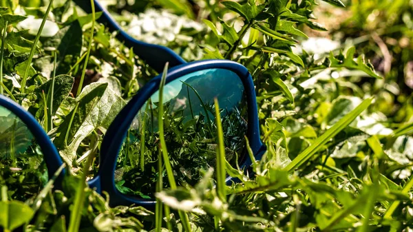 güneş gözlüğü, çimenlerde yansıması bahar güneşli