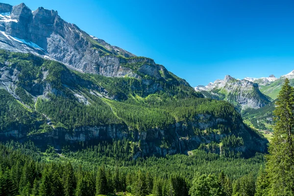 bir dağ İsviçre orman