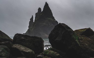 çok fazla kuş onu ve insanlar olmadan hiçbir insan ile reynisdrangar