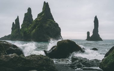 çok fazla kuş onu ve insanlar olmadan hiçbir insan ile reynisdrangar