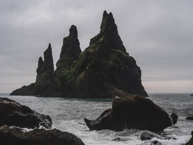 çok fazla kuş onu ve insanlar olmadan hiçbir insan ile reynisdrangar