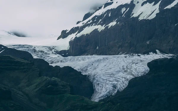 Arm Van Gletsjer Ijsland Closeu Omhoog — Stockfoto