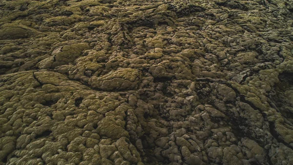 aerial view of moss in iceland drone