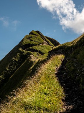 dağ yolu korkunç ridge yürüyüş güneşli yaz günü swiss alps hohenweg brienzer rothorn sırasında hiking