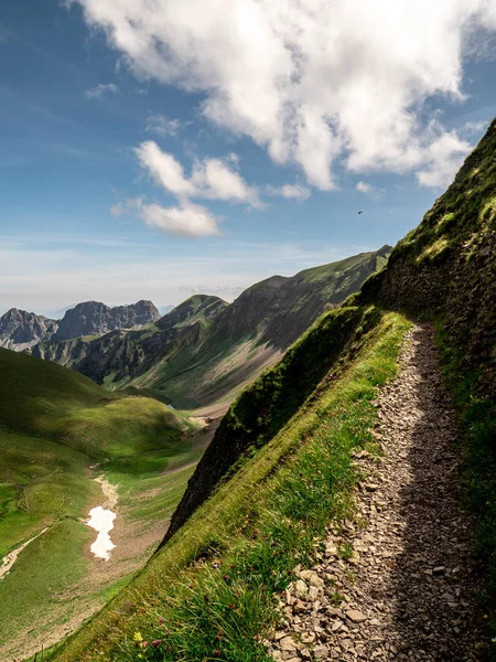 beautiful hiking path along a mountain during sunny summer day with cows , ridge walk hohenweg brienzer rothorn