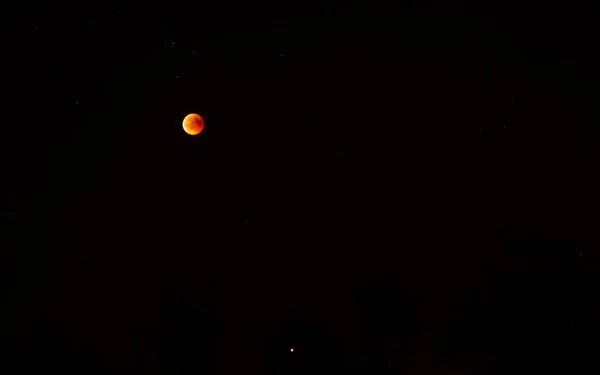 red full moon blood moon and planet mars as a big star with trees